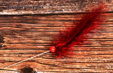 Voodoo Nadel Rote Feder